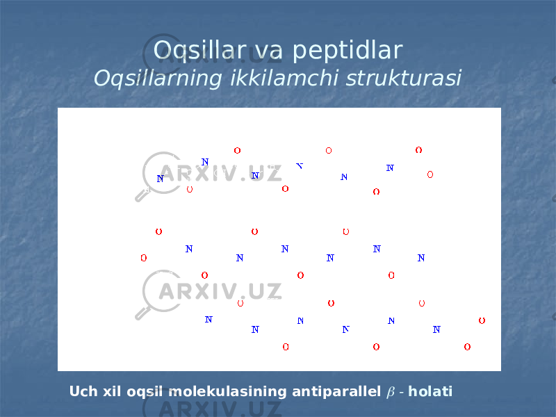 Oqsillar va peptidlar Oqsillarning ikkilamchi strukturasi Uch xil oqsil molekulasining antiparallel  - holati 