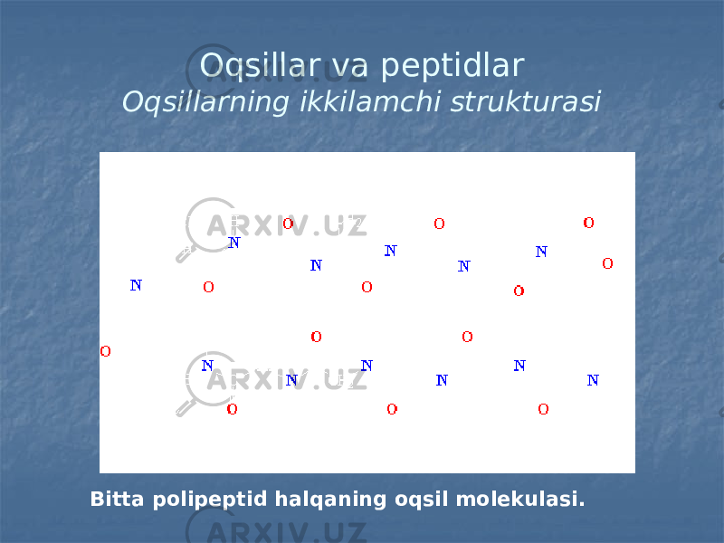 Oqsillar va peptidlar Oqsillarning ikkilamchi strukturasi Bitta polipeptid halqaning oqsil molekulasi. 