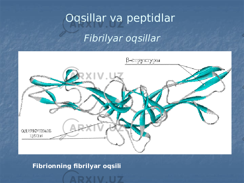 Oqsillar va peptidlar Fibrilyar oqsillar Fibrionning fibrilyar oqsili 
