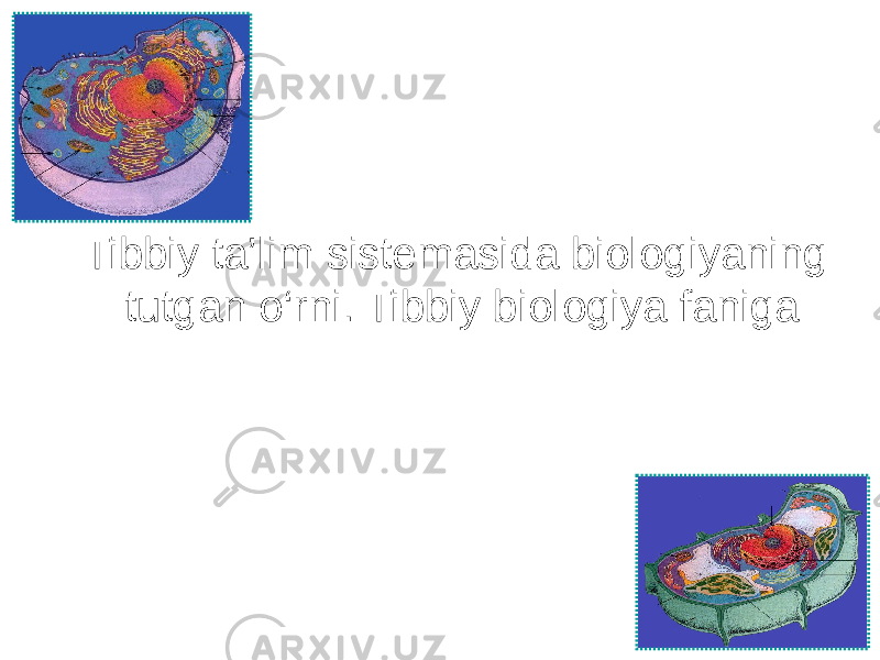 Tibbiy ta’lim sistemasida biologiyaning tutgan o‘rni. Tibbiy biologiya faniga 