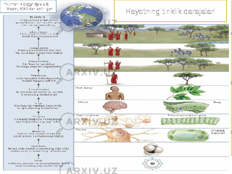 Hayotning tiriklik darajalari “ Human Biology” Sylvia S. Mader, 2010 dan keltirilgan 