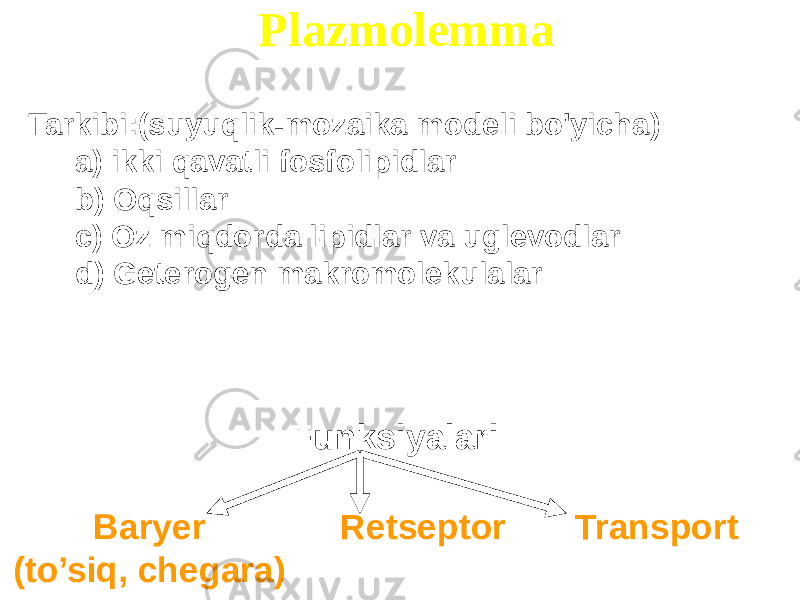 Plazmolemma Tarkibi:(suyuqlik-mozaika modeli bo&#39;yicha) a) ikki qavatli fosfolipidlar b) Oqsillar c) Oz miqdorda lipidlar va uglevodlar d) Geterogen makromolekulalar Funksiyalari Baryer (to’siq, chegara) Retseptor Transport 