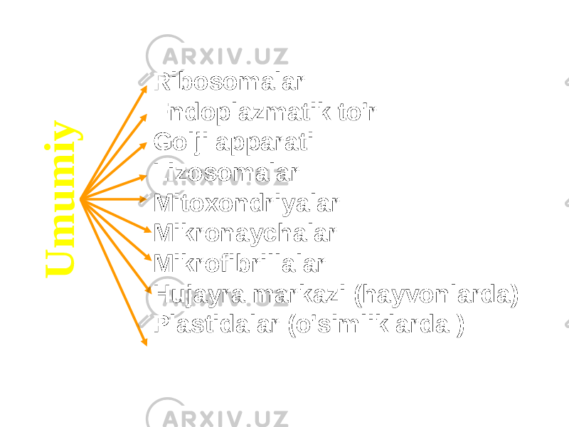 U m u m i yRibosomalar Endoplazmatik to&#39;r Golji apparati Lizosomalar Mitoxondriyalar Mikronaychalar Mikrofibrillalar Hujayra markazi (hayvonlarda) Plastidalar (o&#39;simliklarda ) 