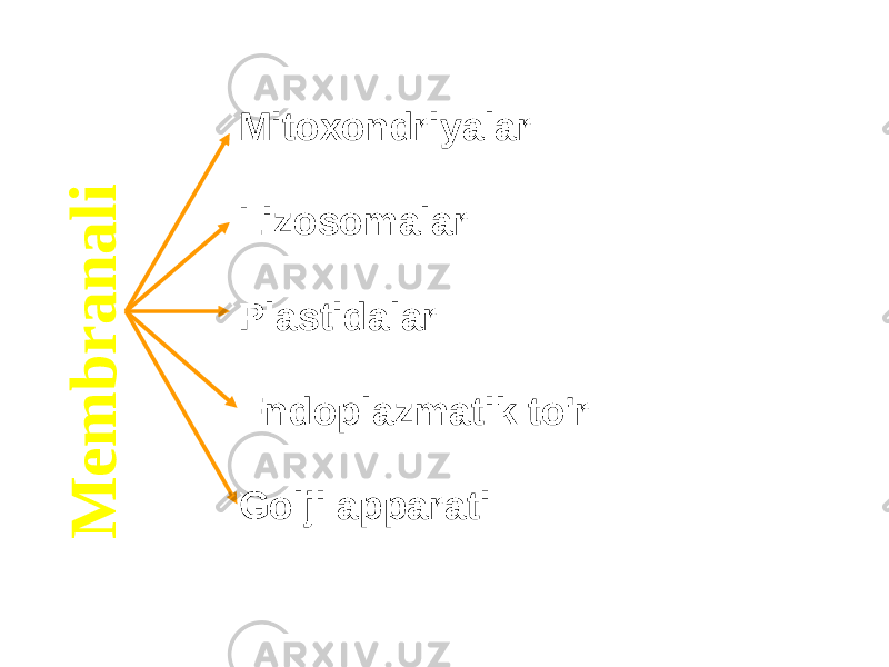 M e m b r a n a l iMitoxondriyalar Lizosomalar Plastidalar Endoplazmatik to&#39;r Golji apparati 