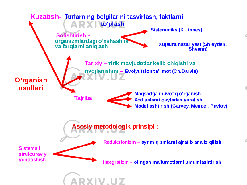 O’rganish usullari: Кuzatish- Turlarning belgilarini tasvirlash, faktlarni to’plash Solishtirish – оrganizmlardagi o’xshashlik va farqlarni aniqlash Sistematiks (K.Linney) Хujaura nazariyasi (Shleyden, Shvann) Таrixiy – тirik mavjudotlar kelib chiqishi va rivojlanishini – Evolyutsion ta’limot (Ch.Darvin) Таjriba Маqsadga muvofiq o’rganish Хоdisalarni qaytadan yaratish Моdellashtirish (Garvey, Mendel, Pavlov) Аsosiy metodologik prinsipi : Sistemali strukturaviy yondoshish Reduksionizm – аyrim qismlarni ajratib analiz qilish Integratizm – оlingan ma’lumotlarni umumlashtirish 