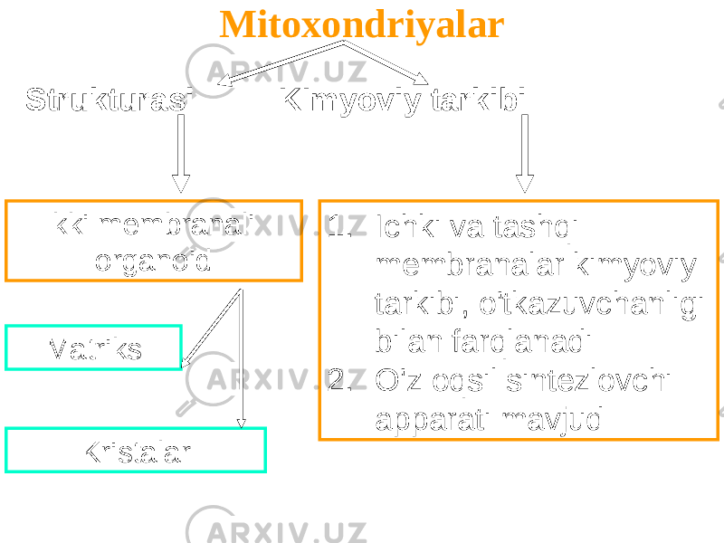 Mitoxondriyalar Ikki membranali organoid 1. Ichki va tashqi membranalar kimyoviy tarkibi, o&#39;tkazuvchanligi bilan farqlanadi 2. O&#39;z oqsil sintezlovchi apparati mavjud Strukturasi KImyoviy tarkibi Matriks Kristalar 