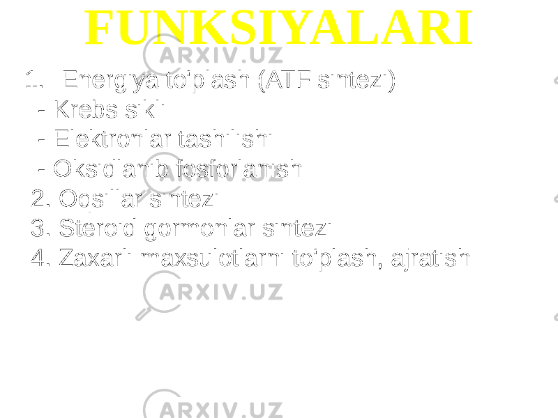 FUNKSIYALARI 1. Energiya to&#39;plash (ATF sintezi) - Krebs sikli - Elektronlar tashilishi - Oksidlanib fosforlanish 2. Oqsillar sintezi 3. Steroid gormonlar sintezi 4. Zaxarli maxsulotlarni to&#39;plash, ajratish 