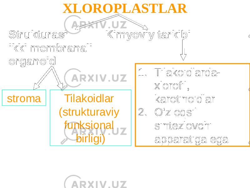 XLOROPLASTLAR 1. Tilakoidlarda- xlorofil, karotinoidlar 2. O&#39;z oqsil sintezlovchi apparatiga ega Strukturasi Kimyoviy tarkibi ikki membranali organoid stroma Tilakoidlar (strukturaviy funksional birligi) 