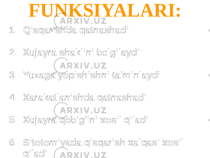 FUNKSIYALARI: 1. Qisqarishda qatnashadi 2. Xujayra shaklini belgilaydi 3. Yuzaga yopishishni ta&#39;minlaydi 4. Xarakatlanishda qatnashadi. 5. Xujayra qobig&#39;ini xosil qiladi 6. Sitotomiyada qisqarish xalqasi xosil qiladi 