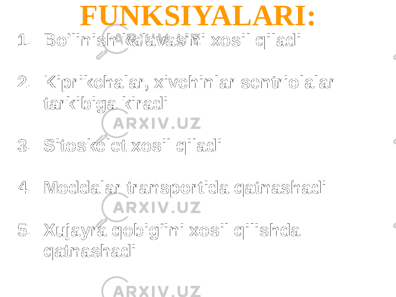 FUNKSIYALARI: 1. Bo&#39;linish kalavasini xosil qiladi 2. Kiprikchalar, xivchinlar sentriolalar tarkibiga kiradi 3. Sitoskelet xosil qiladi 4. Moddalar transportida qatnashadi 5. Xujayra qobig&#39;ini xosil qilishda qatnashadi 