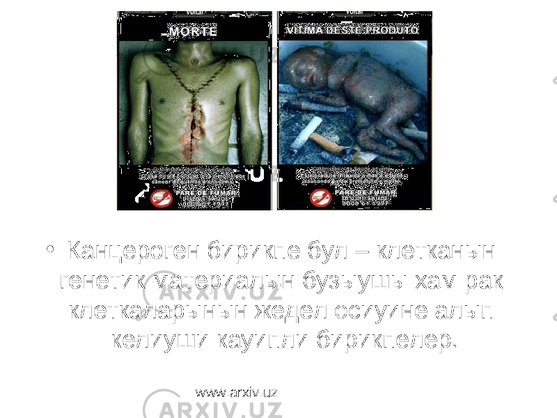 • Канцероген бирикпе бул – клетканын генетик материалын бузыушы хам рак клеткаларынын жедел осиуине алып келиуши кауипли бирикпелер. www.arxiv.uz 