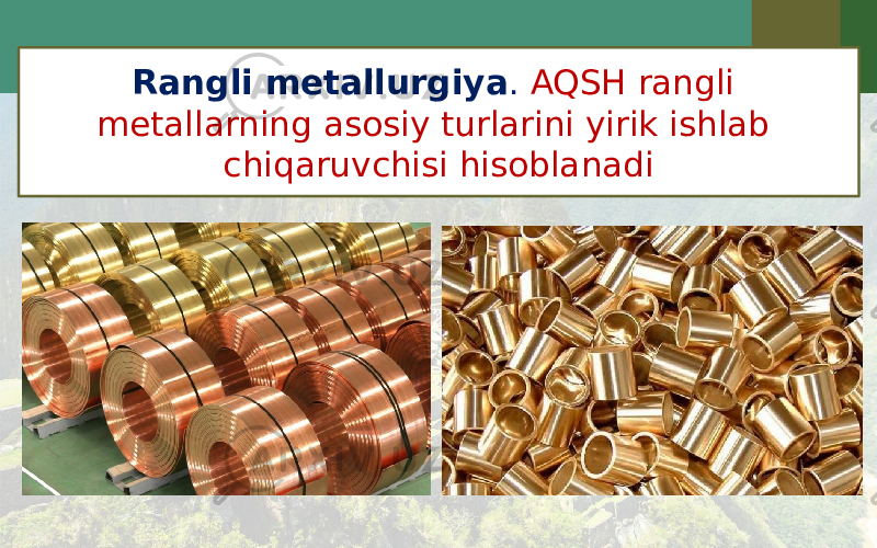 Rangli metallurgiya . AQSH rangli metallarning asosiy turlarini yirik ishlab chiqaruvchisi hisoblanadi 