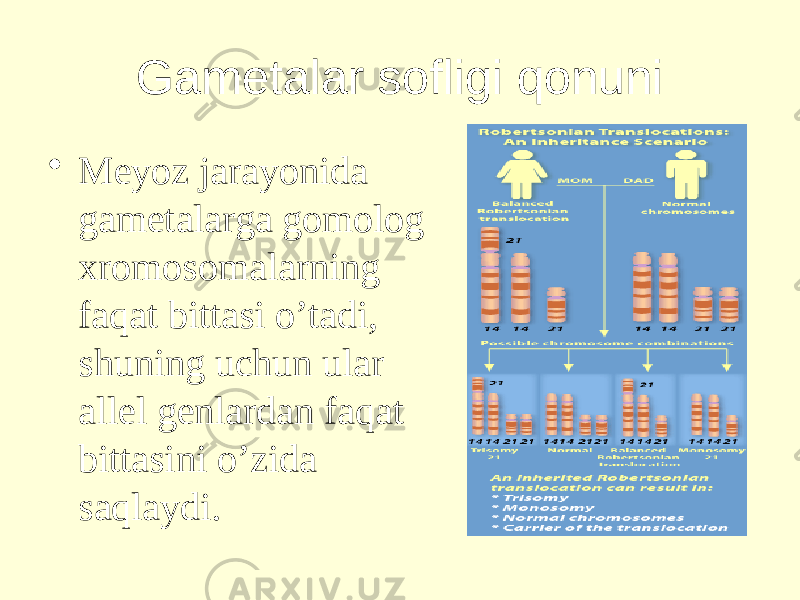 Gametalar sofligi qonuni • Meyoz jarayonida gametalarga gomolog xromosomalarning faqat bittasi o’tadi, shuning uchun ular allel genlardan faqat bittasini o’zida saqlaydi. 