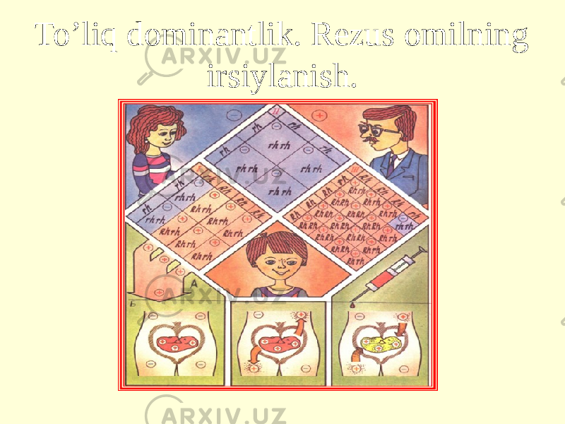 To’liq dominantlik. Rezus omilning irsiylanish. 