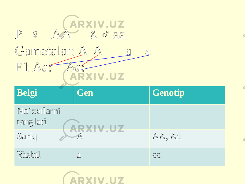 Р ♀ АА Х ♂ аа Gametalar: A A a a F1 Аа: Аа: Belgi Gen Genotip No’xatlarni ranglari Sariq A AA, Aa Yashil a aa 