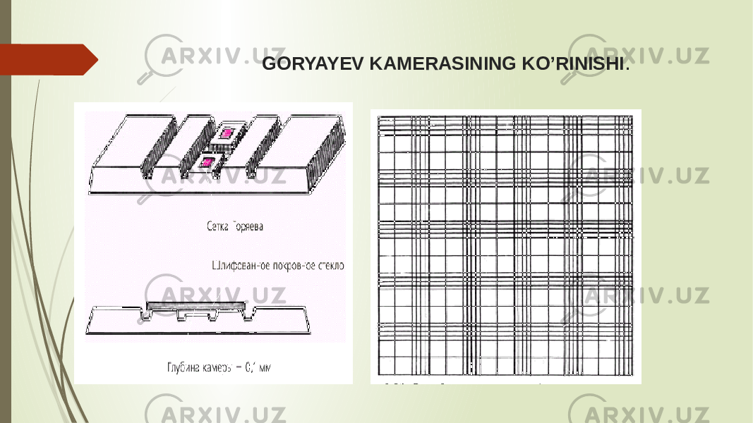  GORYAYEV KAMERASINING KO’RINISHI . 