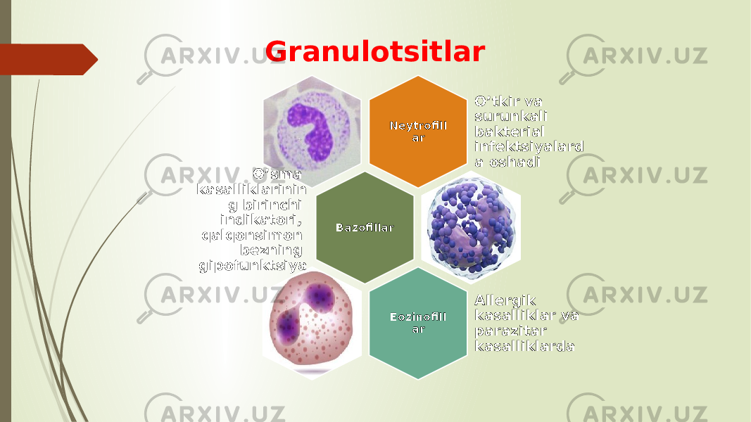 Granulotsitlar Neytrofill ar O’tkir va surunkali bakterial infektsiyalard a oshadi BazofillarO’sma kasalliklarinin g birinchi indikatori, qalqonsimon bezning gipofunktsiya si Eozinofill ar Allergik kasalliklar va parazitar kasalliklarda 