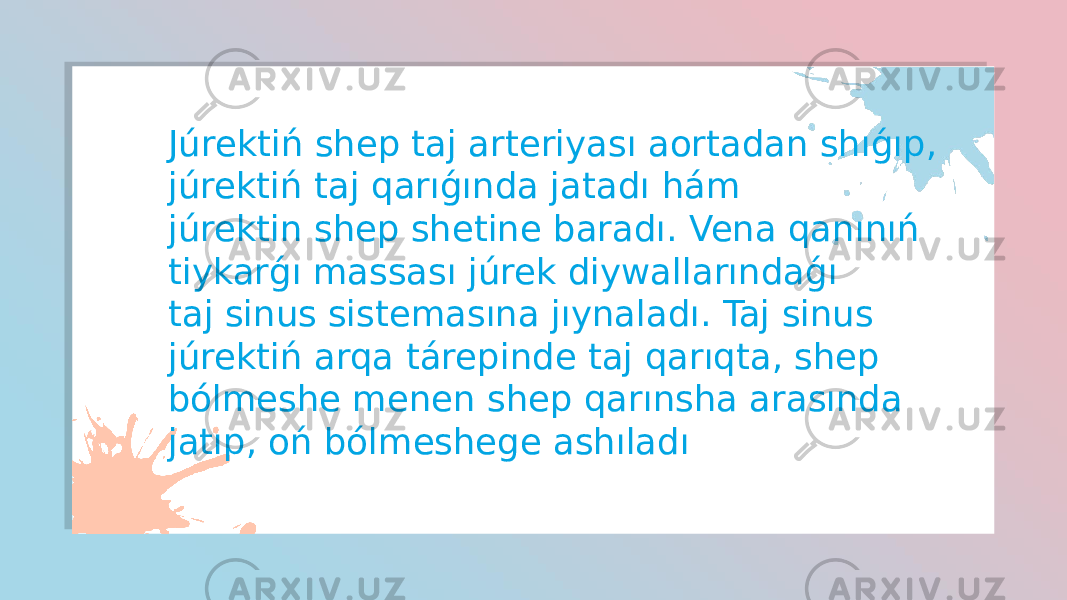 Júrektiń shep taj arteriyası aortadan shıǵıp, júrektiń taj qarıǵında jatadı hám júrektin shep shetine baradı. Vena qanınıń tiykarǵı massası júrek diywallarındaǵı taj sinus sistemasına jıynaladı. Taj sinus júrektiń arqa tárepinde taj qarıqta, shep bólmeshe menen shep qarınsha arasında jatıp, oń bólmeshege ashıladı 