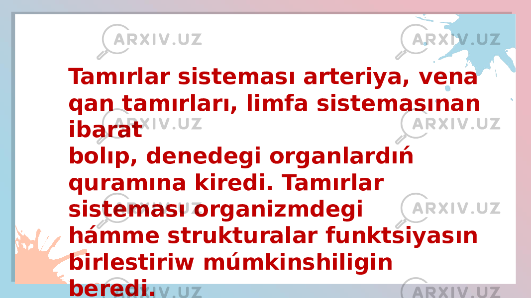 Tamırlar sisteması arteriya, vena qan tamırları, limfa sistemasınan ibarat bolıp, denedegi organlardıń quramına kiredi. Tamırlar sisteması organizmdegi hámme strukturalar funktsiyasın birlestiriw múmkinshiligin beredi. 