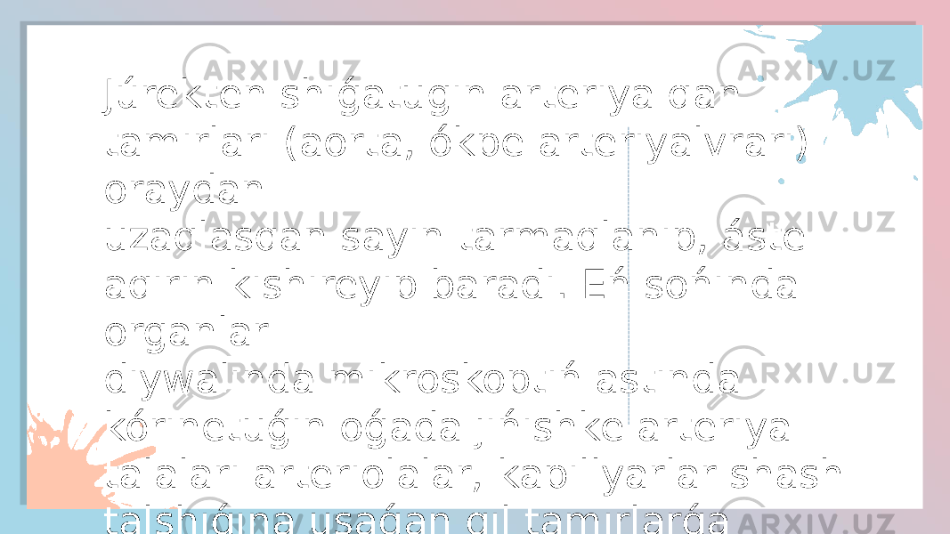 Júrekten shıǵatugın arteriya qan tamırları (aorta, ókpe arteriyalvrarı) oraydan uzaqlasqan sayın tarmaqlanıp, áste aqırın kishireyip baradı. Eń sońında organlar diywalında mikroskoptıń astında kórinetuǵın oǵada jińishke arteriya talaları arteriolalar, kapillyarlar shash talshıǵına usaǵan qıl tamırlarǵa aylanadı 