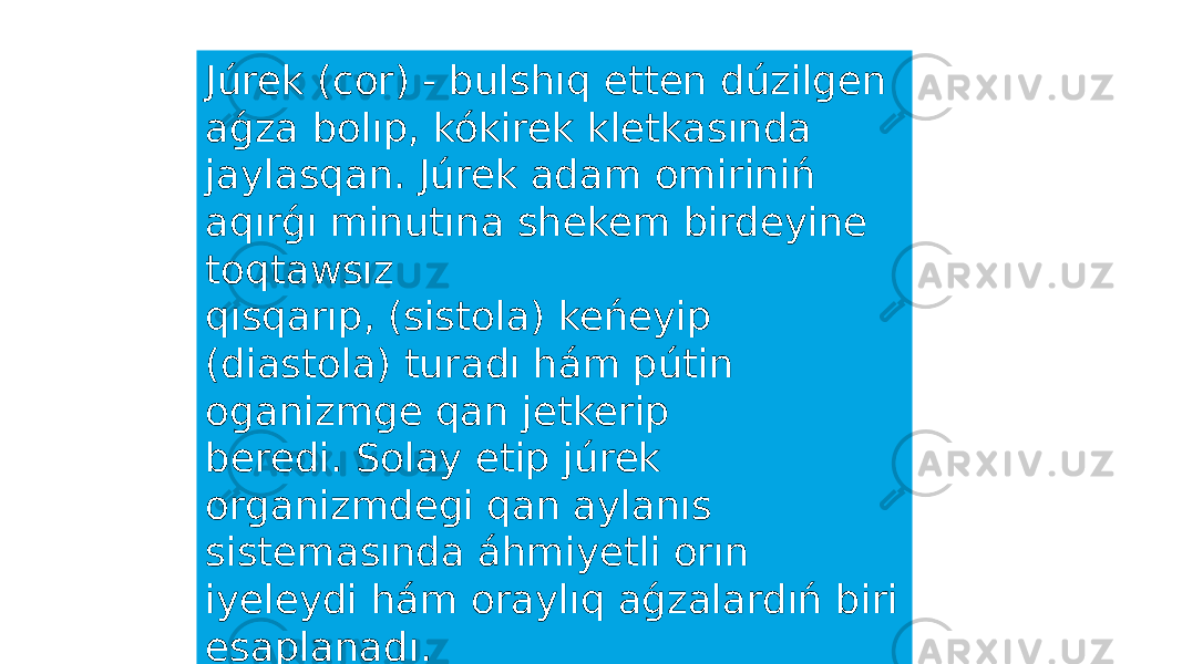 Júrek (cor) - bulshıq etten dúzilgen aǵza bolıp, kókirek kletkasında jaylasqan. Júrek adam omiriniń aqırǵı minutına shekem birdeyine toqtawsız qısqarıp, (sistola) keńeyip (diastola) turadı hám pútin oganizmge qan jetkerip beredi. Solay etip júrek organizmdegi qan aylanıs sistemasında áhmiyetli orın iyeleydi hám oraylıq aǵzalardıń biri esaplanadı. 