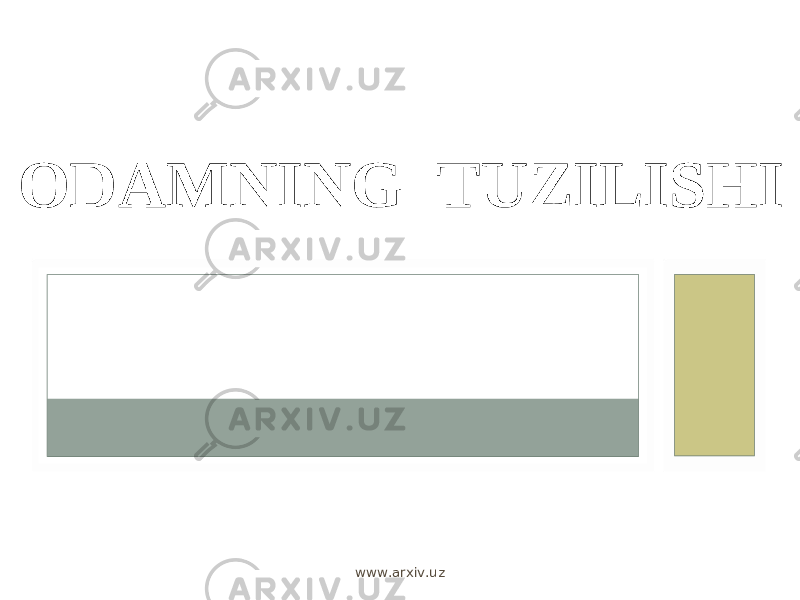 ODAMNING TUZILISHI www.arxiv.uz 