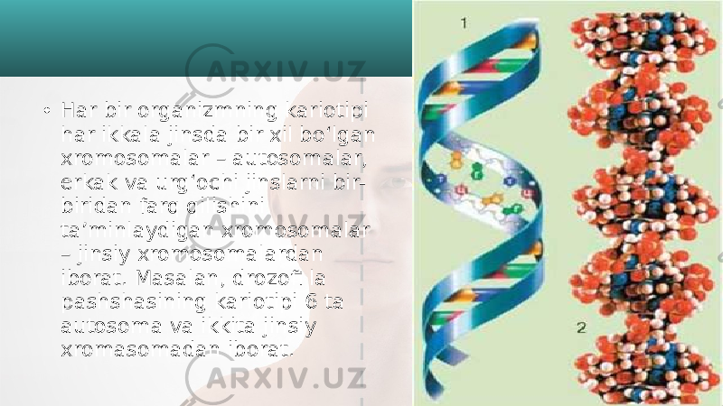 • Har bir organizmning kariotipi har ikkala jinsda bir xil bo‘lgan xromosomalar – autosomalar, erkak va urg‘ochi jinslarni bir- biridan farq qilishini ta’minlaydigan xromosomalar – jinsiy xromosomalardan iborat. Masalan, drozofi la pashshasining kariotipi 6 ta autosoma va ikkita jinsiy xromasomadan iborat. 