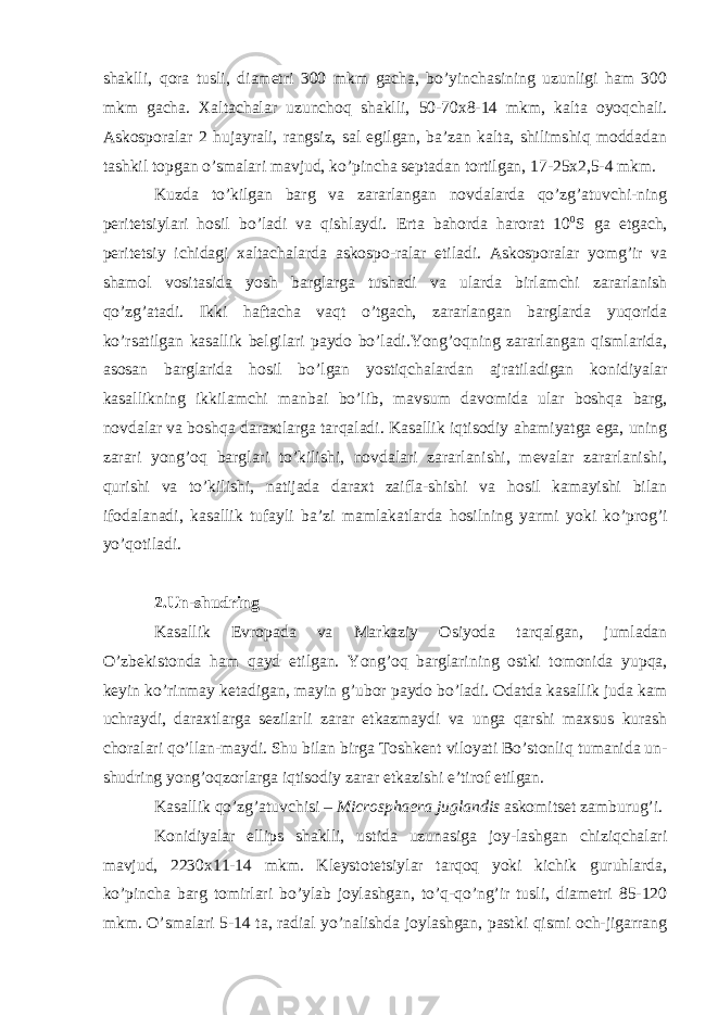 shaklli, qora tusli, diametri 300 mkm gacha, bo’yinchasining uzunligi ham 300 mkm gacha. Xaltachalar uzunchoq shaklli, 50-70x8-14 mkm, kalta oyoqchali. Askosporalar 2 hujayrali, rangsiz, sal egilgan, ba’zan kalta, shilimshiq moddadan tashkil topgan o’smalari mavjud, ko’pincha septadan tortilgan, 17-25x2,5-4 mkm. Kuzda to’kilgan barg va zararlangan novdalarda qo’zg’atuvchi-ning peritetsiylari hosil bo’ladi va qishlaydi. Erta bahorda harorat 10 0 S ga etgach, peritetsiy ichidagi xaltachalarda askospo-ralar etiladi. Askosporalar yomg’ir va shamol vositasida yosh barglarga tushadi va ularda birlamchi zararlanish qo’zg’atadi. Ikki haftacha vaqt o’tgach, zararlangan barglarda yuqorida ko’rsatilgan kasallik belgilari paydo bo’ladi.Yong’oqning zararlangan qismlarida, asosan barglarida hosil bo’lgan yostiqchalardan ajratiladigan konidiyalar kasallikning ikkilamchi manbai bo’lib, mavsum davomida ular boshqa barg, novdalar va boshqa daraxtlarga tarqaladi. Kasallik iqtisodiy ahamiyatga ega, uning zarari yong’oq barglari to’kilishi, novdalari zararlanishi, mevalar zararlanishi, qurishi va to’kilishi, natijada daraxt zaifla-shishi va hosil kamayishi bilan ifodalanadi, kasallik tufayli ba’zi mamlakatlarda hosilning yarmi yoki ko’prog’i yo’qotiladi. 2.Un-shudring Kasallik Evropada va Markaziy Osiyoda tarqalgan, jumladan O’zbekistonda ham qayd etilgan. Yong’oq barglarining ostki tomonida yupqa, keyin ko’rinmay ketadigan, mayin g’ubor paydo bo’ladi. Odatda kasallik juda kam uchraydi, daraxtlarga sezilarli zarar etkazmaydi va unga qarshi maxsus kurash choralari qo’llan-maydi. Shu bilan birga Toshkent viloyati Bo’stonliq tumanida un- shudring yong’oqzorlarga iqtisodiy zarar etkazishi e’tirof etilgan. Kasallik qo’zg’atuvchisi – Microsphaera juglandis askomitset zamburug’i. Konidiyalar ellips shaklli, ustida uzunasiga joy-lashgan chiziqchalari mavjud, 2230x11-14 mkm. Kleystotetsiylar tarqoq yoki kichik guruhlarda, ko’pincha barg tomirlari bo’ylab joylashgan, to’q-qo’ng’ir tusli, diametri 85-120 mkm. O’smalari 5-14 ta, radial yo’nalishda joylashgan, pastki qismi och-jigarrang 