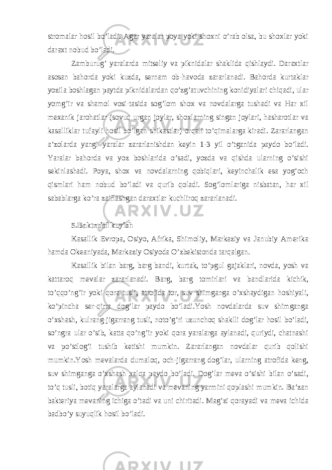 stromalar hosil bo’ladi. Agar yaralar poya yoki shoxni o’rab olsa, bu shoxlar yoki daraxt nobud bo’ladi. Zamburug’ yaralarda mitseliy va piknidalar shaklida qishlaydi. Daraxtlar asosan bahorda yoki kuzda, sernam ob-havoda zararlanadi. Bahorda kurtaklar yozila boshlagan paytda piknidalardan qo’zg’atuvchining konidiyalari chiqadi, ular yomg’ir va shamol vosi-tasida sog’lom shox va novdalarga tushadi va Har xil mexanik jarohatlar (sovuq urgan joylar, shoxlarning singan joylari, hasharotlar va kasalliklar tufayli hosil bo’lgan shikastlar) orqali to’qimalarga kiradi. Zararlangan a’zolarda yangi yaralar zararlanishdan keyin 1-3 yil o’tganida paydo bo’ladi. Yaralar bahorda va yoz boshlarida o’sadi, yozda va qishda ularning o’sishi sekinlashadi. Poya, shox va novdalarning qobiqlari, keyinchalik esa yog’och qismlari ham nobud bo’ladi va qurib qoladi. Sog’lomlariga nisbatan, har xil sabablarga ko’ra zaiflashgan daraxtlar kuchliroq zararlanadi. 5.Bakterial kuyish Kasallik Evropa, Osiyo, Afrika, Shimoliy, Markaziy va Janubiy Amerika hamda Okeaniyada, Markaziy Osiyoda O’zbekistonda tarqalgan. Kasallik bilan barg, barg bandi, kurtak, to’pgul gajaklari, novda, yosh va kattaroq mevalar zararlanadi. Barg, barg tomirlari va bandlarida kichik, to’qqo’ng’ir yoki qora tusli, atrofida tor, suv shimganga o’xshaydigan hoshiyali, ko’pincha ser-qirra dog’lar paydo bo’ladi.Yosh novdalarda suv shimganga o’xshash, kulrang-jigarrang tusli, noto’g’ri uzunchoq shaklli dog’lar hosil bo’ladi, so’ngra ular o’sib, katta qo’ng’ir yoki qora yaralarga aylanadi, quriydi, chatnashi va po’stlog’i tushib ketishi mumkin. Zararlangan novdalar qurib qolishi mumkin.Yosh mevalarda dumaloq, och-jigarrang dog’lar, ularning atrofida keng, suv shimganga o’xshash xalqa paydo bo’ladi. Dog’lar meva o’sishi bilan o’sadi, to’q tusli, botiq yaralarga aylanadi va mevaning yarmini qoplashi mumkin. Ba’zan bakteriya mevaning ichiga o’tadi va uni chiritadi. Mag’zi qorayadi va meva ichida badbo’y suyuqlik hosil bo’ladi. 