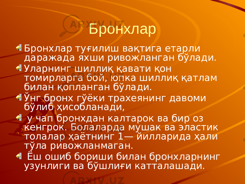 Бронхлар Бронхлар туғилиш вақтига етарли даражада яхши ривожланган бўлади. Уларнинг шиллиқ қавати қон томирларга бой, юпка шиллиқ қатлам билан қопланган бўлади. Ўнг бронх гўёки трахеянинг давоми бўлиб ҳисобланади, у чап бронхдан калтарок ва бир оз кенгрок. Болаларда мушак ва эластик толалар ҳаётнинг 1— йилларида ҳали тўла ривожланмаган. Ёш ошиб бориши билан бронхларнинг узунлиги ва бўшлиғи катталашади. 