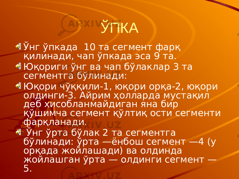 ЎПКА Ўнг ўпкада 10 та сегмент фарқ қилинади, чап ўпкада эса 9 та. Юқориги ўнг ва чап бўлаклар 3 та сегментга бўлинади: Юқори чўққили-1, юқори opқa-2, юқори олдинги-3. Айрим ҳолларда мустақил деб хисобланмайдиган яна бир қўшимча сегмент қўлтиқ ости сегменти фарқланади. Ўнг ўрта бўлак 2 та сегментга бўлинади: ўрта —ёнбош сегмент —4 (у орқада жойлашади) ва олдинда жойлашган ўрта — олдинги сегмент — 5. 