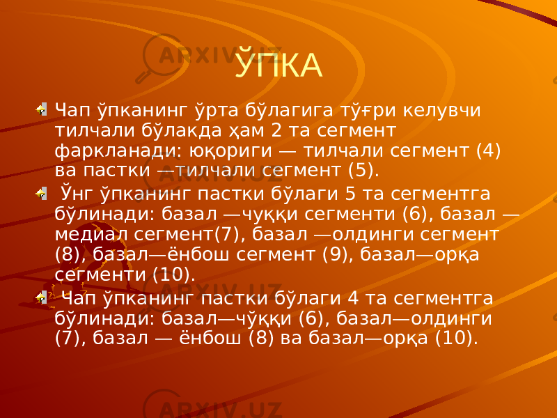 ЎПКА Чап ўпканинг ўрта бўлагига тўғри келувчи тилчали бўлакда ҳам 2 та сегмент фаркланади: юқориги — тилчали сегмент (4) ва пастки —тилчали сегмент (5). Ўнг ўпканинг пастки бўлаги 5 та сегментга бўлинади: базал —чуққи сегменти (6), базал — медиал сегмент(7), базал —олдинги сегмент (8), базал—ёнбош сегмент (9), базал—орқа сегменти (10). Чап ўпканинг пастки бўлаги 4 та сегментга бўлинади: базал—чўққи (6), базал—олдинги (7), базал — ёнбош (8) ва базал—орқа (10). 