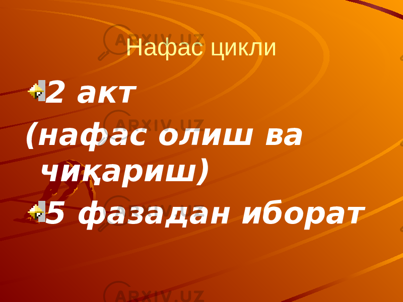 Нафас цикли 2 акт (нафас олиш ва чиқариш) 5 фазадан иборат 