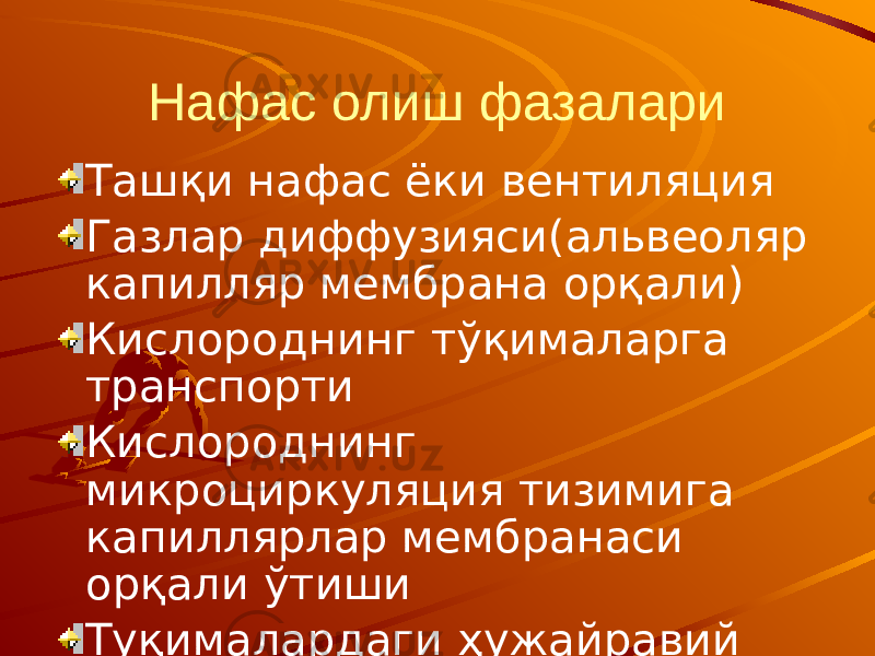 Нафас олиш фазалари Ташқи нафас ёки вентиляция Газлар диффузияси(альвеоляр капилляр мембрана орқали) Кислороднинг тўқималарга транспорти Кислороднинг микроциркуляция тизимига капиллярлар мембранаси орқали ўтиши Туқималардаги ҳужайравий нафас 