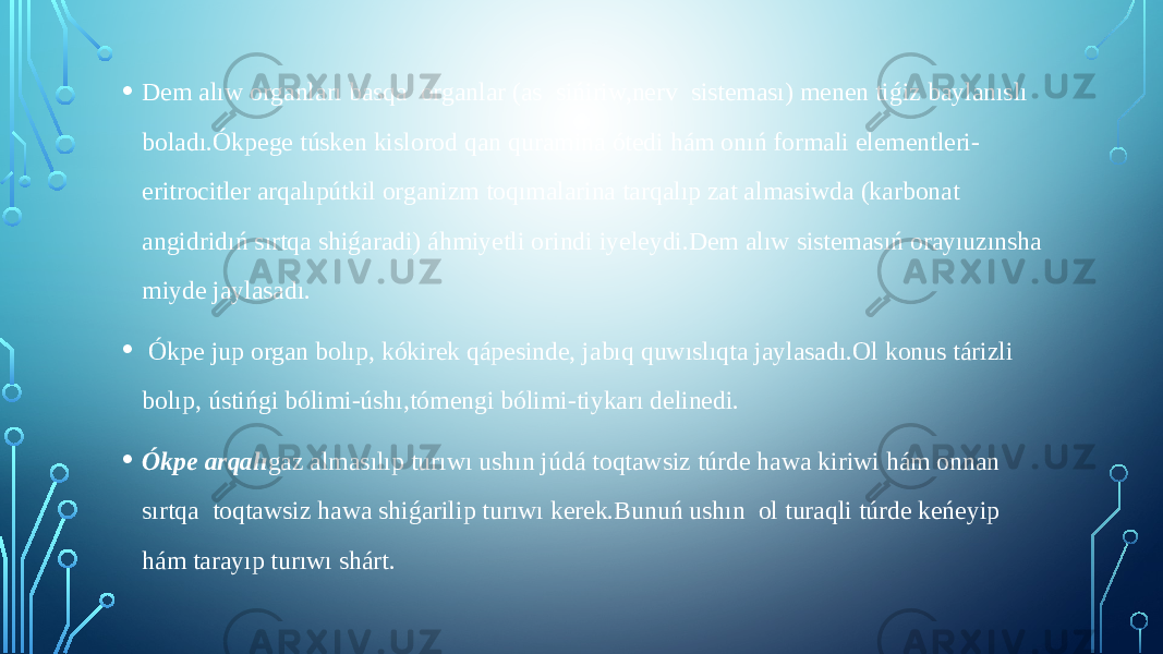 • Dem alıw organları basqa organlar (as sińiriw,nerv sisteması) menen tiǵiz baylanıslı boladı.Ókpege túsken kislorod qan quramina ótedi hám onıń formali elementleri- eritrocitler arqalıpútkil organizm toqımalarina tarqalıp zat almasiwda (karbonat angidridıń sırtqa shiǵaradi) áhmiyetli orindi iyeleydi.Dem alıw sistemasıń orayıuzınsha miyde jaylasadı. • Ókpe jup organ bolıp, kókirek qápesinde, jabıq quwıslıqta jaylasadı.Ol konus tárizli bolıp, ústińgi bólimi-úshı,tómengi bólimi-tiykarı delinedi. • Ókpe arqalı gaz almasılıp turıwı ushın júdá toqtawsiz túrde hawa kiriwi hám onnan sırtqa toqtawsiz hawa shiǵarilip turıwı kerek.Bunuń ushın ol turaqli túrde keńeyip hám tarayıp turıwı shárt. 