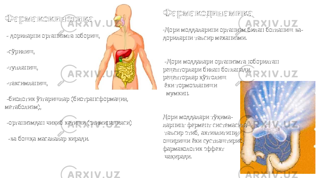 Фармакодинамика - Дори моддаларини организм билан боғланиш ва- дориларни таъсир механизми. -Дори моддалари организмга юборилган рецепторлари билан боғланади, рецепторлар қўзғолиш ёки тормозланиши мумкин. Дори моддалари тўқима- ларнинг фермент системасига таъсир этиб, активлигини ошириши ёки сустлаштириб, фармакологик эффект чақиради.Фармакокинетика - дориларни организмга юбориш, -сўрилиш, -тупланиш, -таксимланиш, -биологик ўзгаришлар (биотрансформация, метаболизм), -организмдан чиқиб кетиши (элиминацияси) -ва бошқа масалалар киради. 