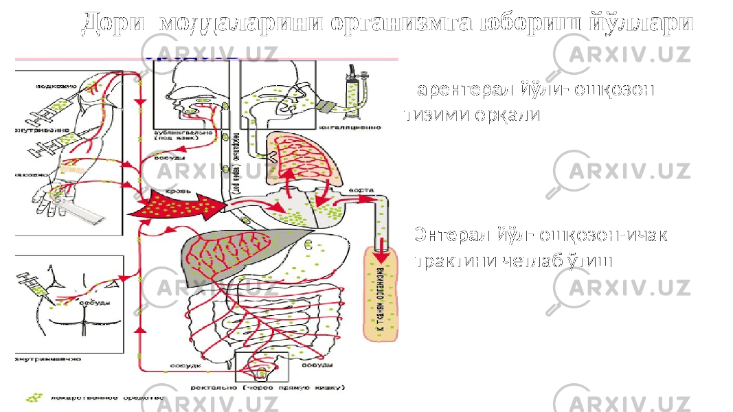  Дори моддаларини организмга юбориш йўллари Парентерал йўли- ошқозон тизими орқали Энтерал йўл- ошқозон-ичак трактини четлаб ўтиш 