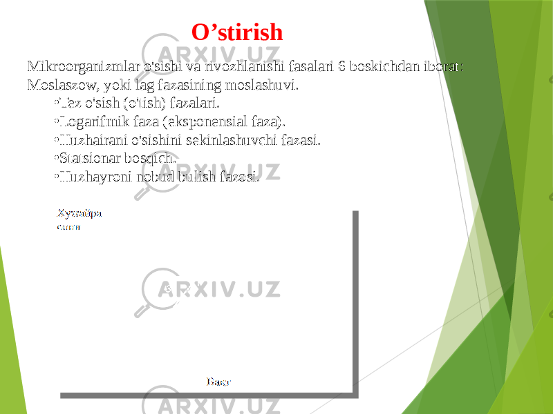 O’stirish Mikroorganizmlar o&#39;sishi va rivozhlanishi fasalari 6 boskichdan iborat: Moslaszow, yoki lag fazasining moslashuvi. • Tez o&#39;sish (o&#39;tish) fazalari. • Logarifmik faza (eksponensial faza). • Huzhairani o&#39;sishini sekinlashuvchi fazasi. • Statsionar bosqich. • Huzhayroni nobud bulish fazosi. 