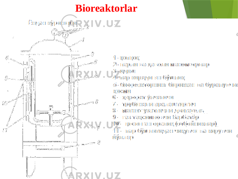 Bioreaktorlar 