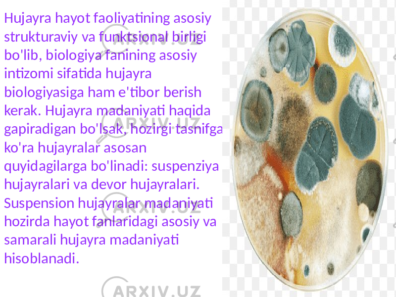 Hujayra hayot faoliyatining asosiy strukturaviy va funktsional birligi bo&#39;lib, biologiya fanining asosiy intizomi sifatida hujayra biologiyasiga ham e&#39;tibor berish kerak. Hujayra madaniyati haqida gapiradigan bo&#39;lsak, hozirgi tasnifga ko&#39;ra hujayralar asosan quyidagilarga bo&#39;linadi: suspenziya hujayralari va devor hujayralari. Suspension hujayralar madaniyati hozirda hayot fanlaridagi asosiy va samarali hujayra madaniyati hisoblanadi. 