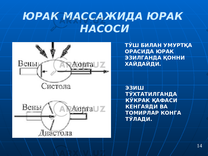 ЮРАК МАССАЖИДА ЮРАК НАСОСИ ТЎШ БИЛАН УМУРТҚА ОРАСИДА ЮРАК ЭЗИЛГАНДА ҚОННИ ХАЙДАЙДИ. ЭЗИШ ТЎХТАТИЛГАНДА КЎКРАК ҚАФАСИ КЕНГАЯДИ ВА ТОМИРЛАР КОНГА ТЎЛАДИ. 14 