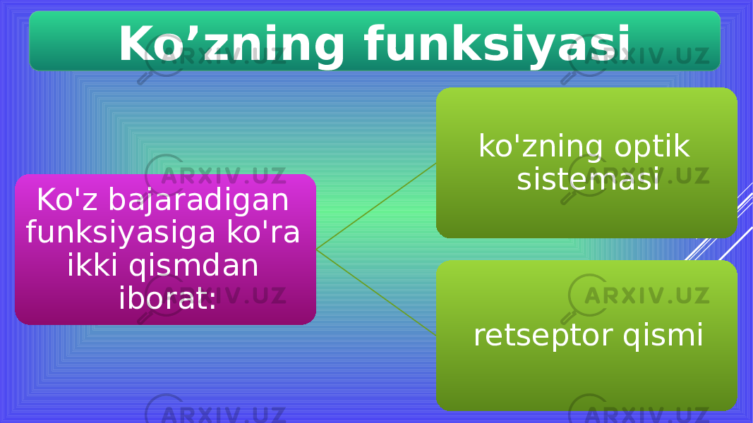 Ko’zning funksiyasi Ko&#39;z bajaradigan funksiyasiga ko&#39;ra ikki qismdan iborat: ko&#39;zning optik sistemasi retseptor qismi 