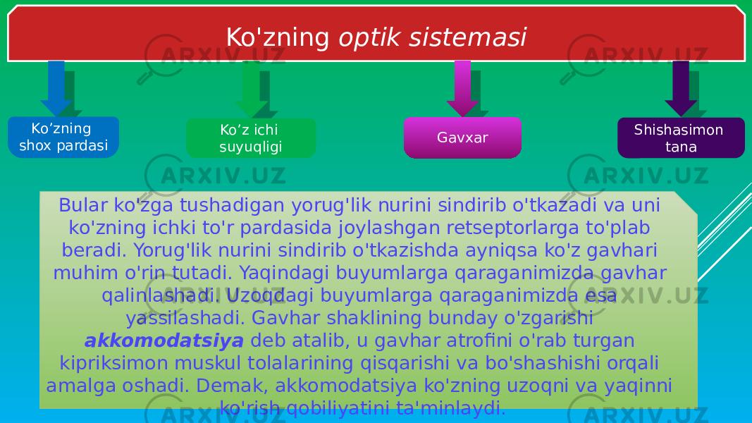 Ko&#39;zning optik sistemasi Ko’zning shox pardasi Ko’z ichi suyuqligi Gavxar Shishasimon tana Bular ko&#39;zga tushadigan yorug&#39;lik nurini sindirib o&#39;tkazadi va uni ko&#39;zning ichki to&#39;r pardasida joylashgan retseptorlarga to&#39;plab beradi. Yorug&#39;lik nurini sindirib o&#39;tkazishda ayniqsa ko&#39;z gavhari muhim o&#39;rin tutadi. Yaqindagi buyumlarga qaraganimizda gavhar qalinlashadi. Uzoqdagi buyumlarga qaraganimizda esa yassilashadi. Gavhar shaklining bunday o&#39;zgarishi akkomodatsiya deb atalib, u gavhar atrofini o&#39;rab turgan kipriksimon muskul tolalarining qisqarishi va bo&#39;shashishi orqali amalga oshadi. Demak, akkomodatsiya ko&#39;zning uzoqni va yaqinni ko&#39;rish qobiliyatini ta&#39;minlaydi. 