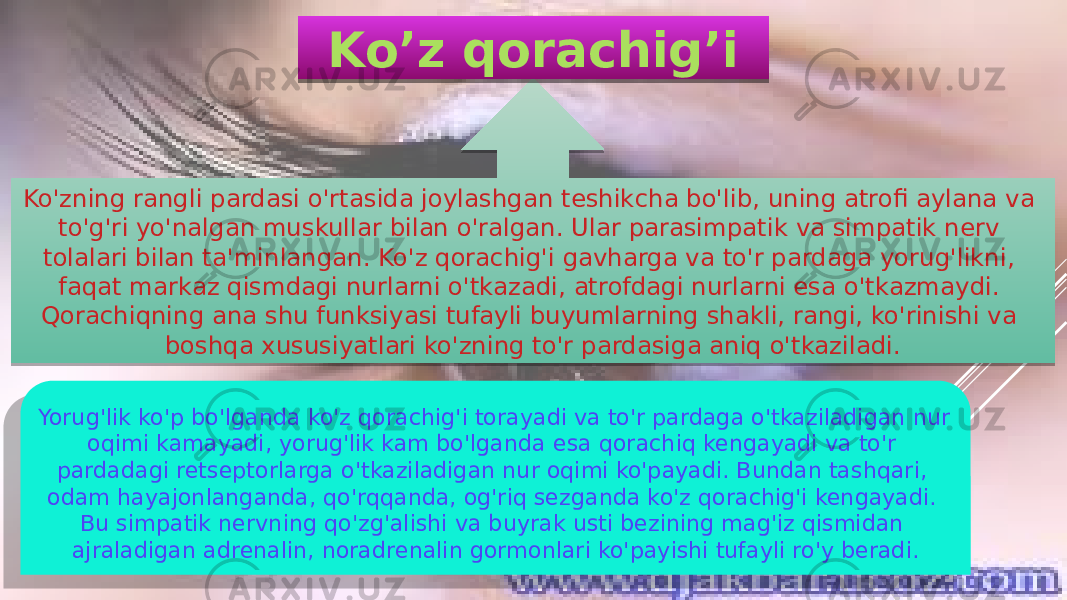 Ko&#39;zning rangli pardasi o&#39;rtasida joylashgan teshikcha bo&#39;lib, uning atrofi aylana va to&#39;g&#39;ri yo&#39;nalgan muskullar bilan o&#39;ralgan. Ular parasimpatik va simpatik nerv tolalari bilan ta&#39;minlangan. Ko&#39;z qorachig&#39;i gavharga va to&#39;r pardaga yorug&#39;likni, faqat markaz qismdagi nurlarni o&#39;tkazadi, atrofdagi nurlarni esa o&#39;tkazmaydi. Qorachiqning ana shu funksiyasi tufayli buyumlarning shakli, rangi, ko&#39;rinishi va boshqa xususiyatlari ko&#39;zning to&#39;r pardasiga aniq o&#39;tkaziladi. Ko’z qorachig’i Yorug&#39;lik ko&#39;p bo&#39;lganda ko&#39;z qorachig&#39;i torayadi va to&#39;r pardaga o&#39;tkaziladigan nur oqimi kamayadi, yorug&#39;lik kam bo&#39;lganda esa qorachiq kengayadi va to&#39;r pardadagi retseptorlarga o&#39;tkaziladigan nur oqimi ko&#39;payadi. Bundan tashqari, odam hayajonlanganda, qo&#39;rqqanda, og&#39;riq sezganda ko&#39;z qorachig&#39;i kengayadi. Bu simpatik nervning qo&#39;zg&#39;alishi va buyrak usti bezining mag&#39;iz qismidan ajraladigan adrenalin, noradrenalin gormonlari ko&#39;payishi tufayli ro&#39;y beradi. 01 09 09 0E 2F 17 08 32 02 2211 02 2D 11 