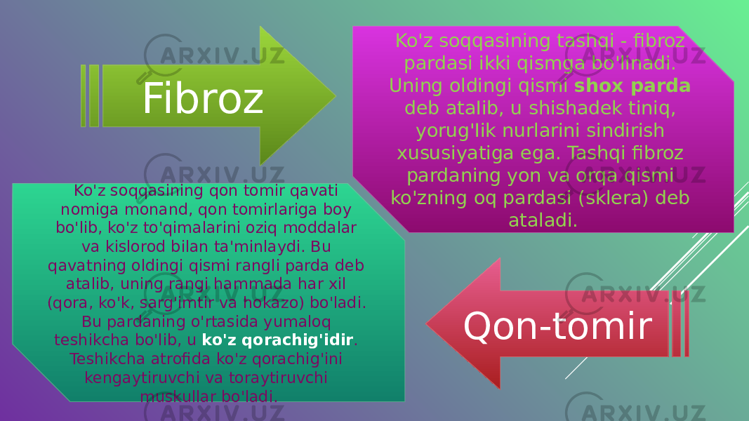 Ko&#39;z soqqasining tashqi - fibroz pardasi ikki qismga bo&#39;linadi. Uning oldingi qismi shox parda deb ataIib, u shishadek tiniq, yorug&#39;Iik nurlarini sindirish xususiyatiga ega. Tashqi fibroz pardaning yon va orqa qismi ko&#39;zning oq pardasi (sklera) deb ataladi. Ko&#39;z soqqasining qon tomir qavati nomiga monand, qon tomirlariga boy bo&#39;lib, ko&#39;z to&#39;qimalarini oziq moddalar va kislorod bilan ta&#39;minlaydi. Bu qavatning oldingi qismi rangli parda deb atalib, uning rangi hammada har xil (qora, ko&#39;k, sarg&#39;imtir va hokazo) bo&#39;ladi. Bu pardaning o&#39;rtasida yumaloq teshikcha bo&#39;lib, u ko&#39;z qorachig&#39;idir . Teshikcha atrofida ko&#39;z qorachig&#39;ini kengaytiruvchi va toraytiruvchi muskullar bo&#39;ladi. Fibroz Qon-tomir 