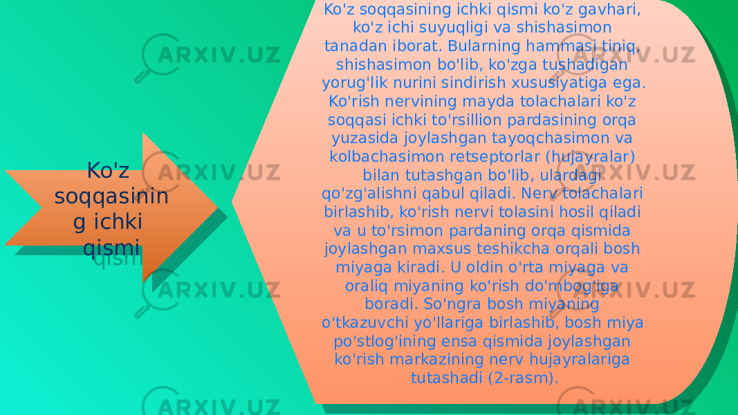 Ko&#39;z soqqasinin g ichki qismi Ko&#39;z soqqasining ichki qismi ko&#39;z gavhari, ko&#39;z ichi suyuqligi va shishasimon tanadan iborat. Bularning hammasi tiniq, shishasimon bo&#39;lib, ko&#39;zga tushadigan yorug&#39;lik nurini sindirish xususiyatiga ega. Ko&#39;rish nervining mayda tolachalari ko&#39;z soqqasi ichki to&#39;rsillion pardasining orqa yuzasida joylashgan tayoqchasimon va kolbachasimon retseptorlar (hujayralar) bilan tutashgan bo&#39;lib, ulardagi qo&#39;zg&#39;alishni qabul qiladi. Nerv tolachalari birlashib, ko&#39;rish nervi tolasini hosil qiladi va u to&#39;rsimon pardaning orqa qismida joylashgan maxsus teshikcha orqali bosh miyaga kiradi. U oldin o&#39;rta miyaga va oraliq miyaning ko&#39;rish do&#39;mbog&#39;iga boradi. So&#39;ngra bosh miyaning o&#39;tkazuvchi yo&#39;llariga birlashib, bosh miya po&#39;stlog&#39;ining ensa qismida joylashgan ko&#39;rish markazining nerv hujayralariga tutashadi (2-rasm).01 0C 07 1A 01 0F 09 0C0D 10 01 0C02 10 0F 1706 1A02 1706 1F 1C 13 02 17 02 2202 0F 09 