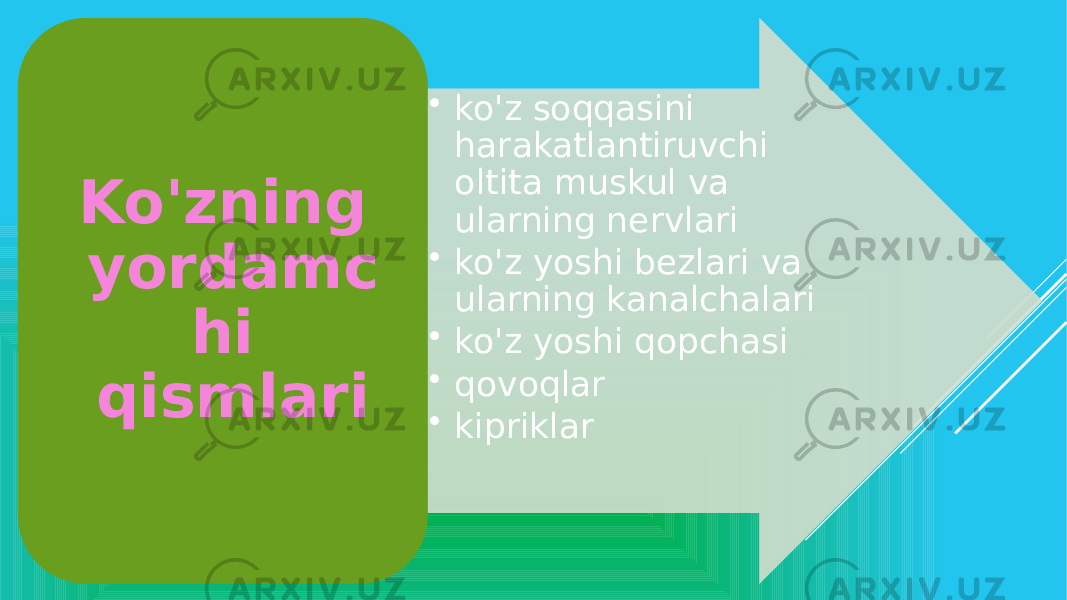 • ko&#39;z soqqasini harakatlantiruvchi oltita muskul va ularning nervlari • ko&#39;z yoshi bezlari va ularning kanalchalari • ko&#39;z yoshi qopchasi • qovoqlar • kipriklar Ko&#39;zning yordamc hi qismlari 