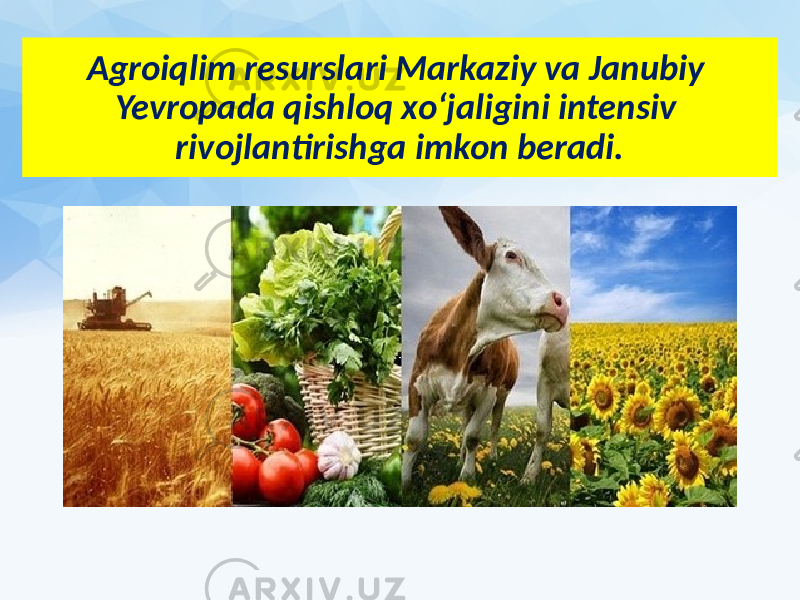 Agroiqlim resurslari Markaziy va Janubiy Yevropada qishloq xo‘jaligini intensiv rivojlantirishga imkon beradi. 