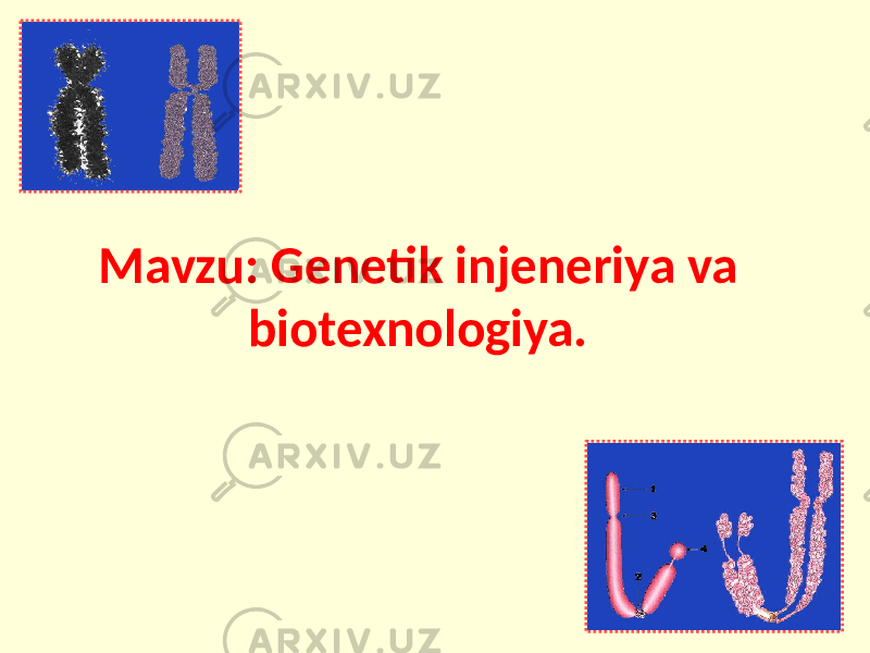 Mavzu: Genetik injeneriya va biotexnologiya. 