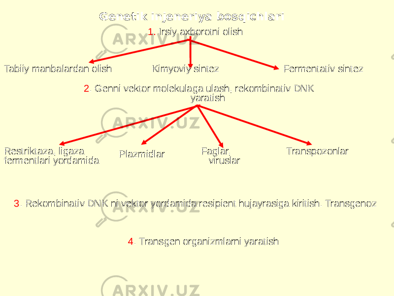 Genetik injeneriya bosqichlari  Tabiiy manbalardan olish Kimyoviy sintez Fermentativ sintez 2 . Genni vektor molekulaga ulash, rekombinativ DNK yaratish Restriktaza, ligaza fermentlari yordamida Plazmidlar Faglar, viruslar Transpozonlar 3 . Rekombinativ DNK ni vektor yordamida resipient hujayrasiga kiritish. Transgenoz 4 . Transgen organizmlarni yaratish 1. Irsiy axborotni olish 